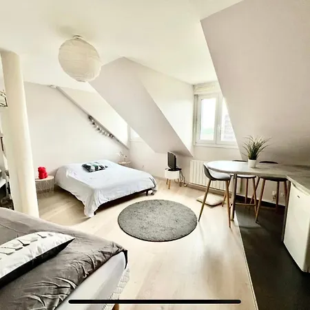 Studio Lumineux En Centre דירה *